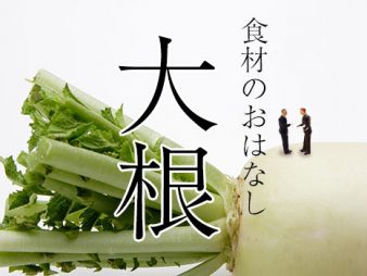 食材のおはなし：大根編