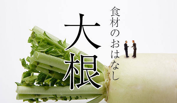 食材のおはなし：大根編