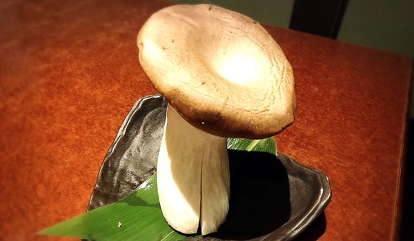 おばけキノコ