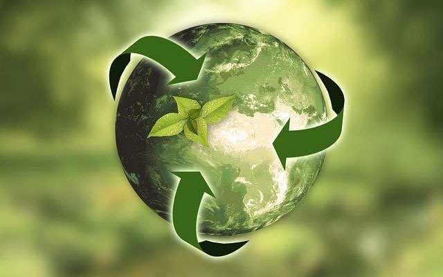 飲食業界で進み始めるプラスチック廃止運動に注目